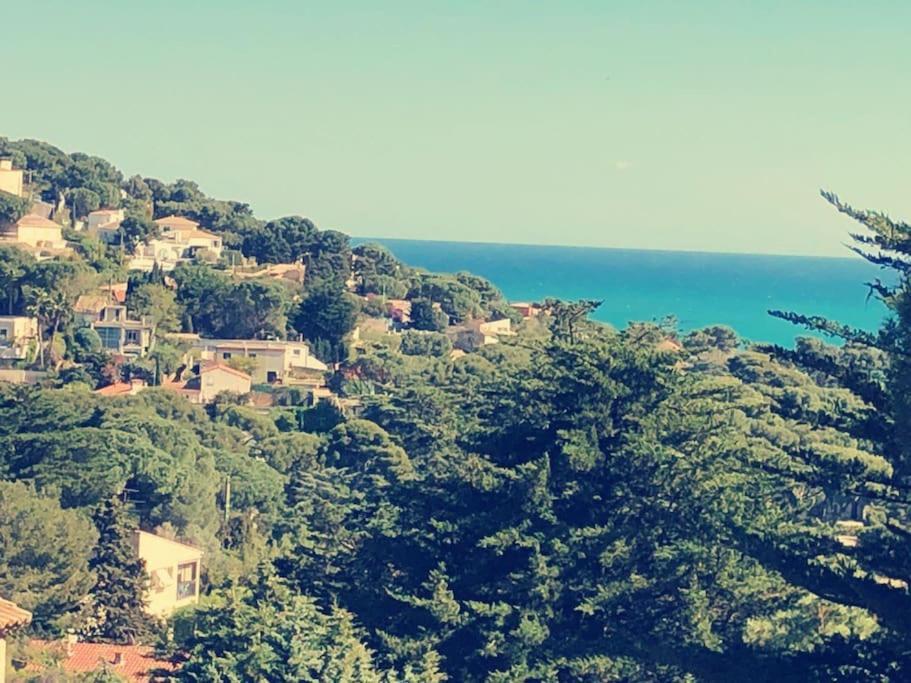 Maison St Clair Vue Mer سُت المظهر الخارجي الصورة